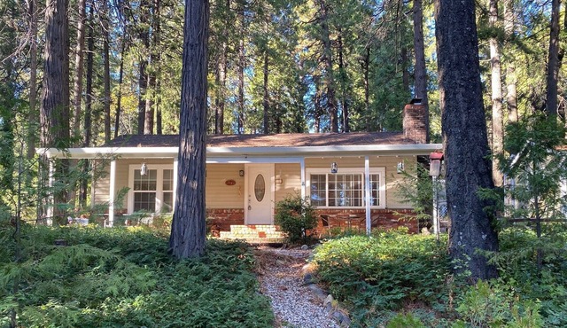 Cozy Cottage 🌲❤️ 10 min from Apple Hill & Jenkinson Lake, 45 from S.Lake Tahoe