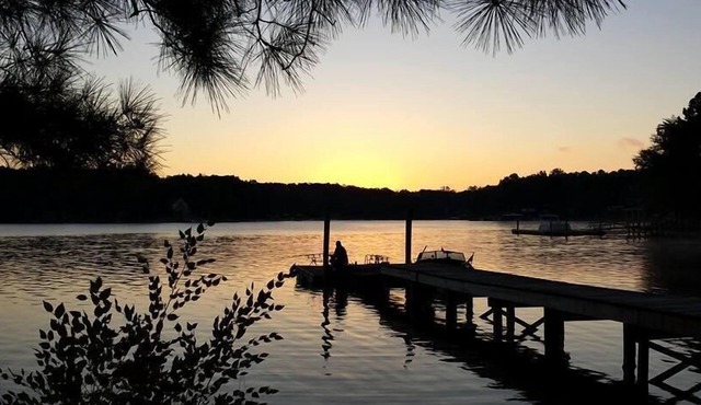 Cozy Cottage: 180’ Shoreline, Panoramic View of Cove & Lake; Pet Friendly, WiFi.