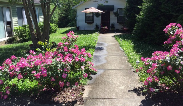 Cozy, cottage,1bedroom 1bath,1daybed in open living space. Much liked, Monthly