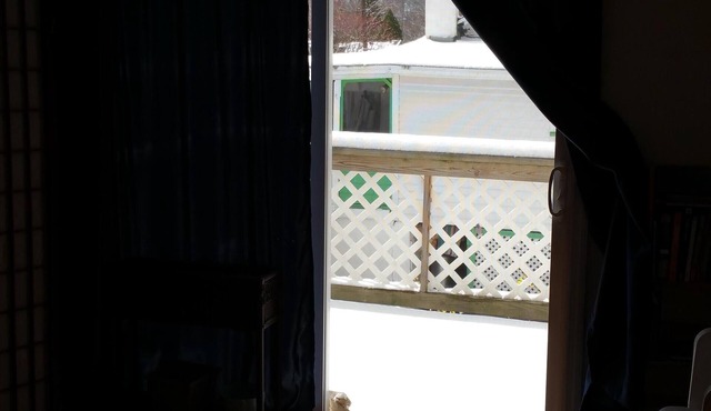 Cozy Cottage at Harvey's Lake