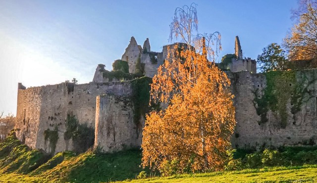 Cozy cottage at the gates of the natural park Marais Poitevin.