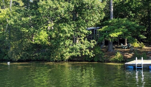 Cozy Cottage available on quiet island surrounded by beautiful lake & fishing!