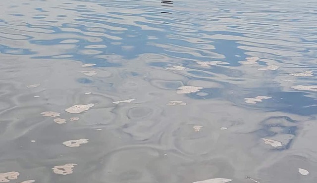 Cozy Cottage on the Bay of Fundy