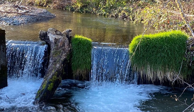 Cozy cottage for snuggling up! Within walking distance to Hoodsport!