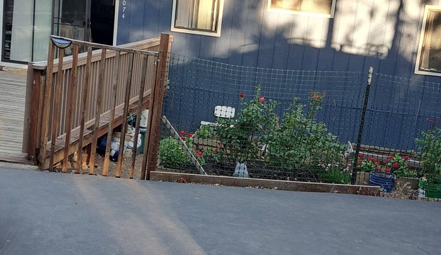 Cozy cottage for vacation in Cedar Ridge near its famous trail.