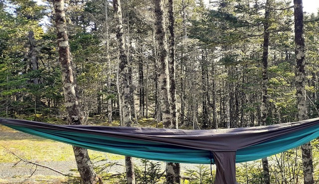 Cozy cottage - hot tub, private 1-acre, lakefront, under 1 hour from St. John's.