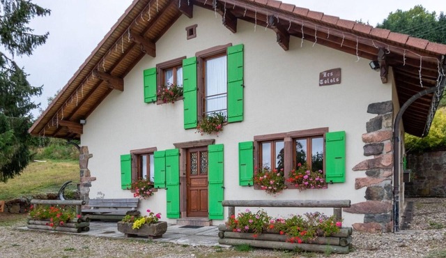 Cozy cottage in the Vosges with fireplace