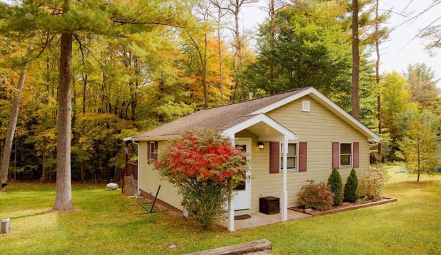 Cozy Cottage near Cook Forest Park & ANF