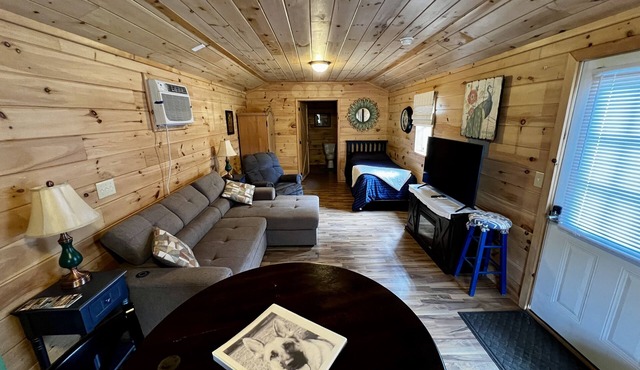 Cozy cottage near Music City USA , sleeps 3n