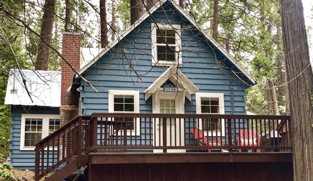 Cozy Cottage near Pinecrest/Dodge Ridge *WiFi*