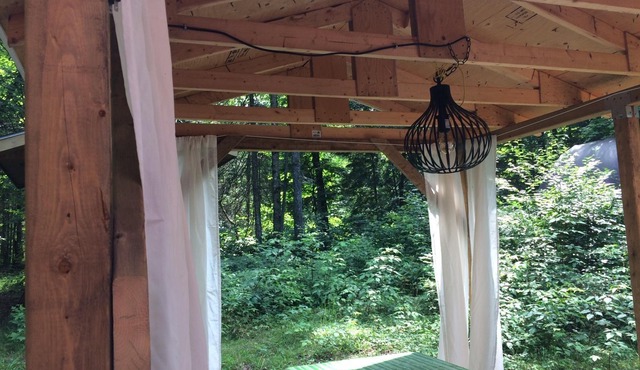 Cozy Cottage nestled in the pines on the Muskoka River