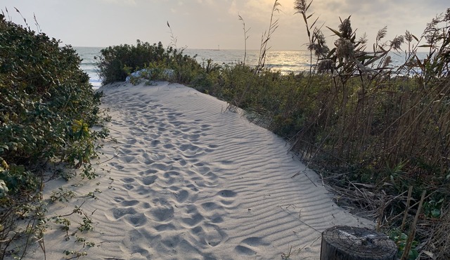 Cozy Cottage - Ocean Views- Steps away from private beach