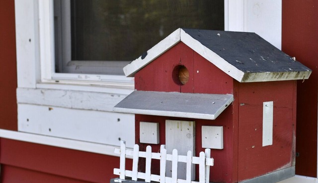 Cozy Cottage on Horse Farm
