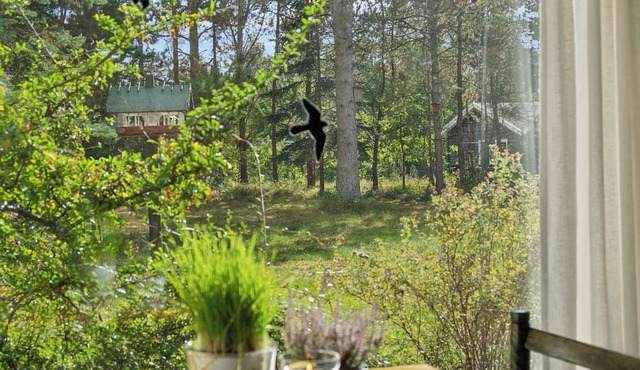 Cozy cottage on natural plot