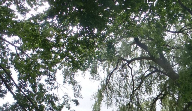 Cozy cottage on Waneta Lake in the heart of the Finger Lakes w/ dock access