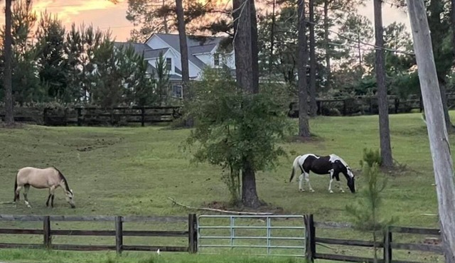 Cozy cottage over looking 40 acre horse farm. 5 mile to historical Pinehurst
