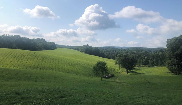 Cozy cottage with amazing views just 10 minutes to Blacksburg. Pet-friendly!