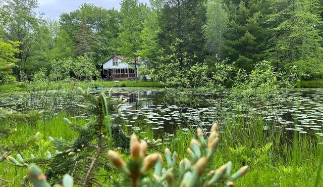 Cozy Cottage with a Pond