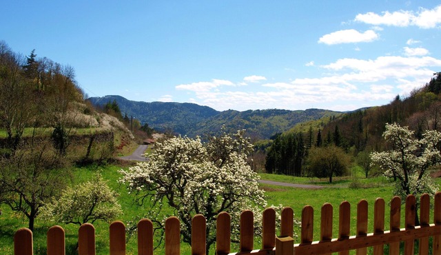 Cozy Countryside Escape in Auvergne