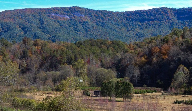Cozy Country 3/2 w/shared outdoor fire-pit, playground & water access (Pets OK!)