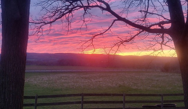 Cozy Country Cabin near Canandaigua-Hot Tub-Scenic Views-Wine Trail Convenience