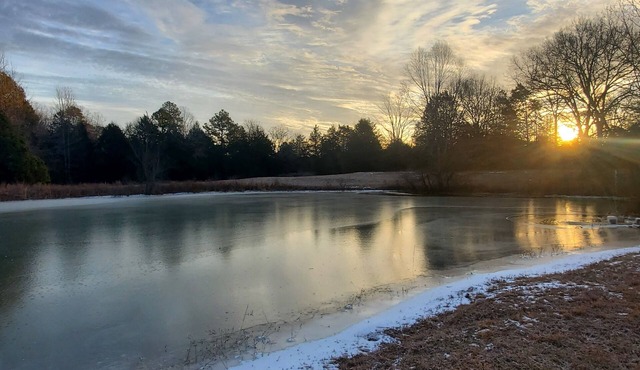 Cozy Country Getaway w/Pond, Fishing & Deck