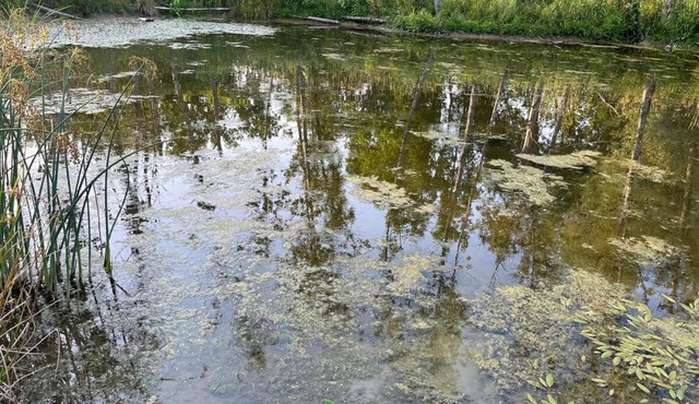 Cozy Countryside Retreat