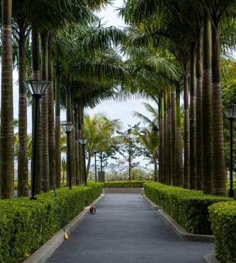 Cozy couple apartment suite