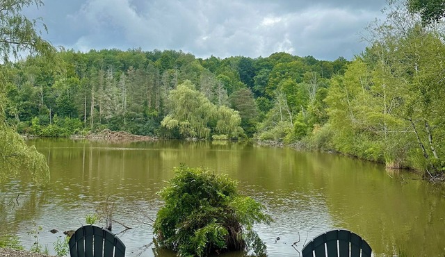 Cozy Couple’s Cabin