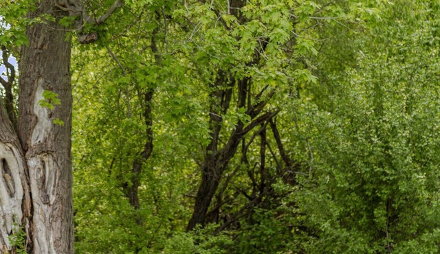 Cozy Couple`s Getaway in PEC