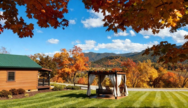 Cozy Couples Mountain Log Cabin #5 Hot Tub Stone Fireplace LURAY Deluxe Firepit