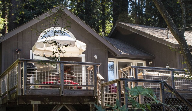 Cozy Cove ~ Family Retreat in the Woods! Walk to River