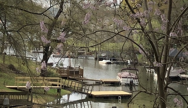 Cozy cove lake cottage