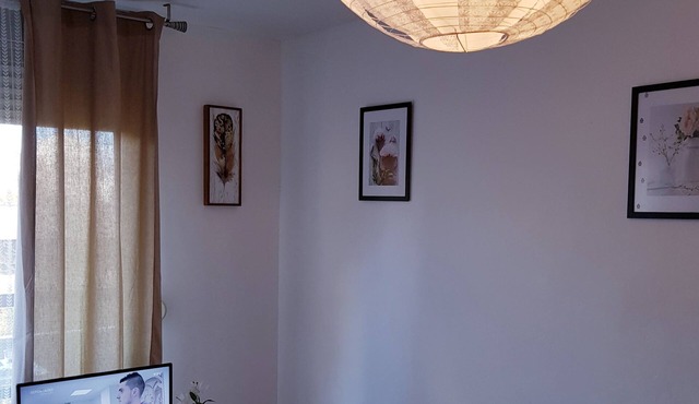 Cozy cozy apartment with large balcony