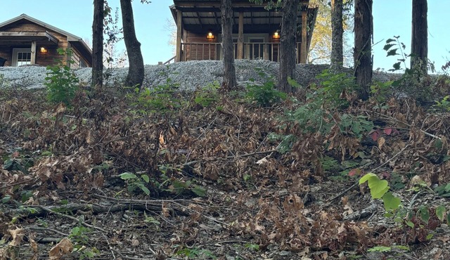 Cozy Creek cabin in charming Fort Towson with WiFi access