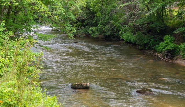 Cozy creek side getaway minutes from Downtown Blue Ridge!