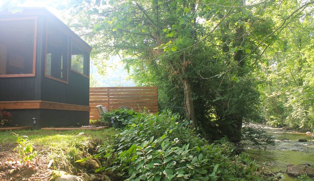 Cozy Creekside Cabin 1.5 miles from Lake Watagua and Cherokee National Forest.