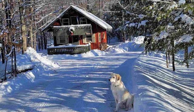 Cozy creekside cabin near Big Powderhorn's Lift #1 & Recreational Trail #2!