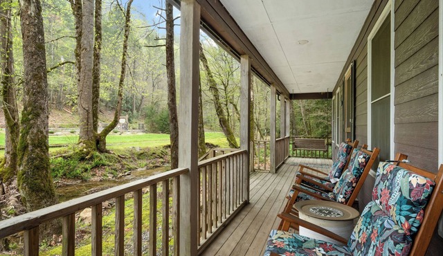 Cozy Creekside Mountain Cabin - WiFi