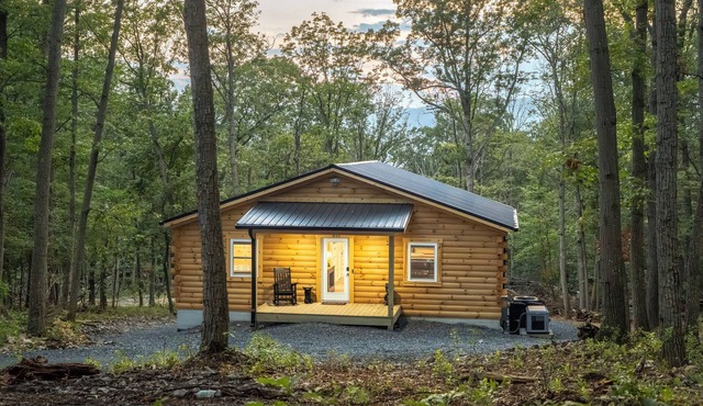 Cozy Cub Den - Brand Cabin Retreat for Nature Lovers in Shenandoah