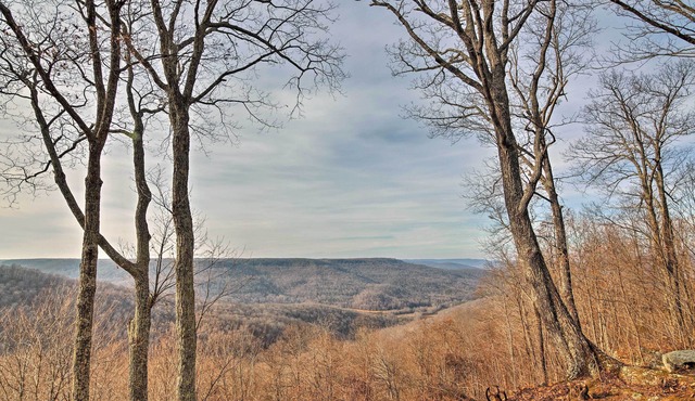 Cozy Cumberland Mountain Cabin w/Stunning Views!