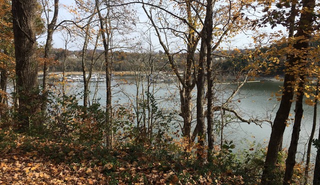 Cozy Cumberland Cottage