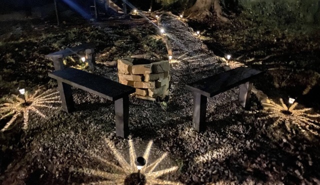 Cozy Cute Modern Tennis Wifi Pit Broad Berry Pets