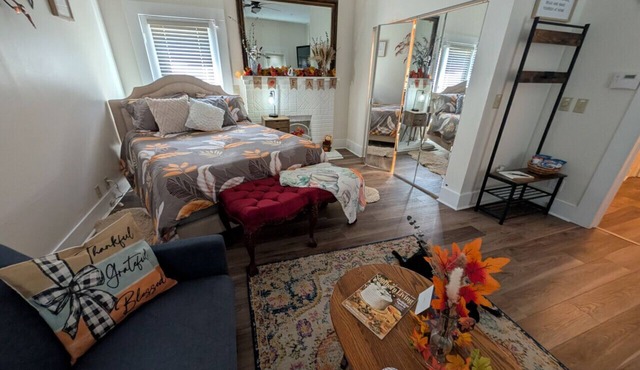 Cozy, Cute, Private Ozark Suite 5 Mins to Hospital