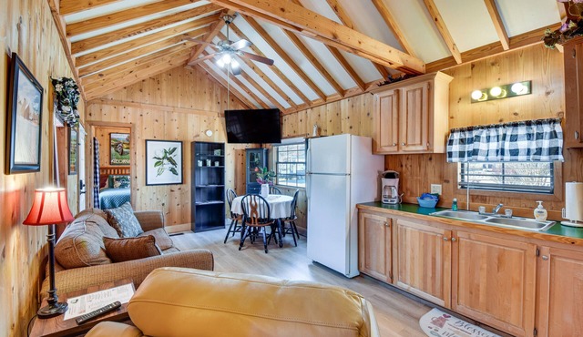 Cozy Dillard Cabin w/Mountain Views & Pool Access