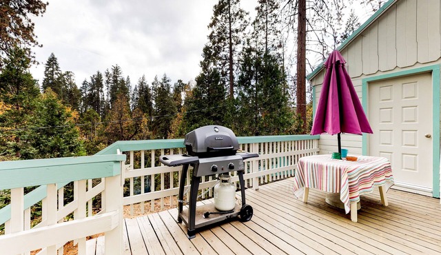 Cozy Dog-Friendly Cabin with WiFi Near Shaver Lake, Village, & More