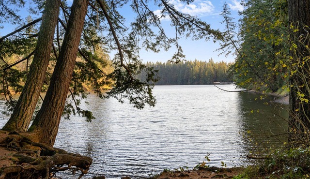 Cozy, dog-friendly home across from Lacamas Lake with easy trail access. Enjoy a private hot tub, fire pits, and peaceful surroundings. Great layout with basement and loft spaces for families or groups.