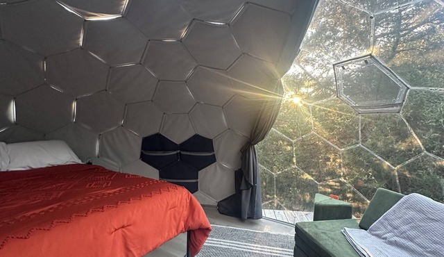 Cozy Dome Under the Stars - Dome 3