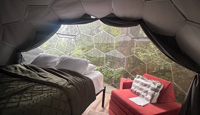 Cozy Dome Under the Stars - Dome 1
