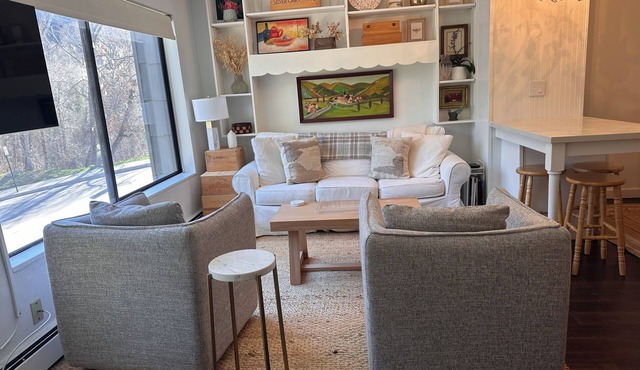 Cozy Downtown Aspen Studio